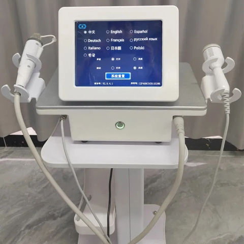 2 in 1 Hot sale Professional RF Microneedling / best rf skin tightening machine fractional RF microneedle machine