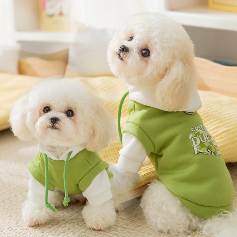 Hot Release! Fashionable Hooded Pet Sweater for Small Cats like Persians and Small Dogs like Pomeranians. Perfect for Fall and Winter, ensur