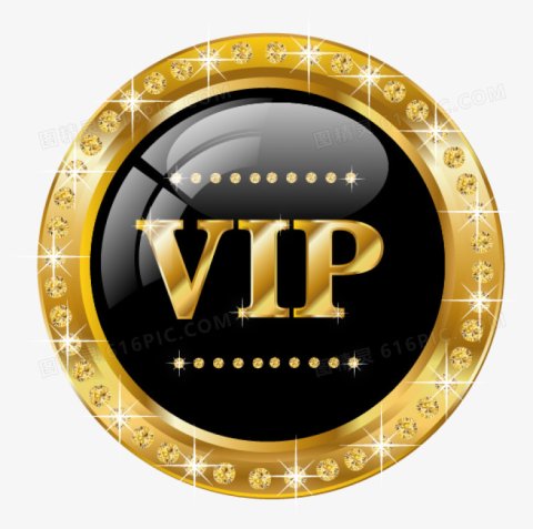 Exclusive Fast Payment Link for VIP Customers