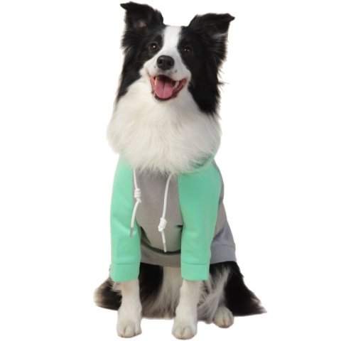 All - Weather Four - Legged Windproof Coat Fit for Small and Medium Dogs with an Inclusive Design