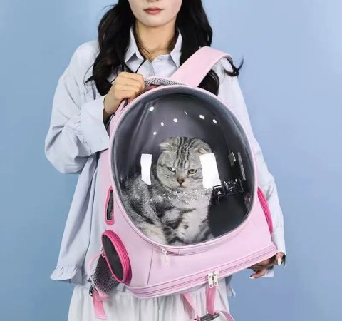 Cat pet bag, portable outdoor backpack, large capacity, transparent visible window, ventilated small dog bag, large viewing area