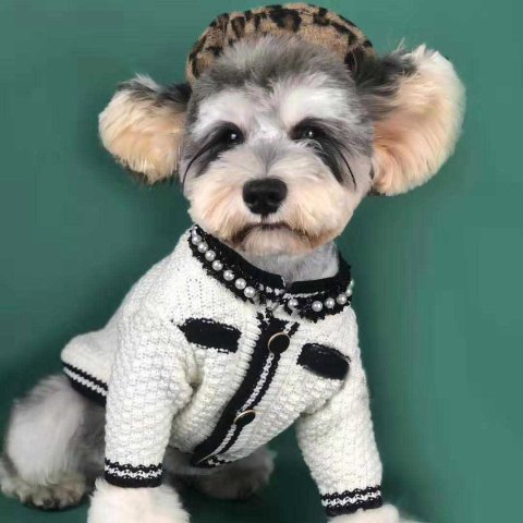 Dog Spring Sweater Cardigan Schnauzer Pomeranian Teddy Corgi Pug Cat Pet Clothes