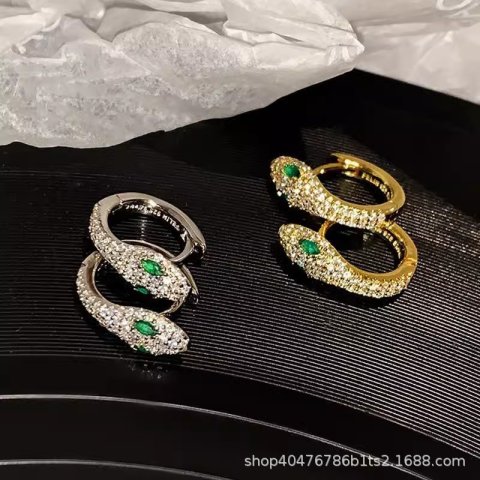 S925 silver personalized serpentine Earrings womens fashion micro inlaid zircon bright earrings hip hop Earrings 250710