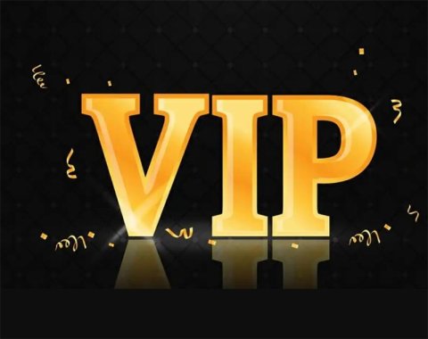 VIP customer special payment link 003