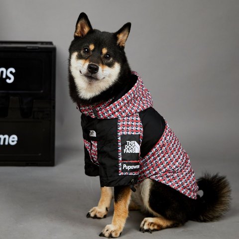 Dog Clothes Coat Waterproof Dog Warm Autumn Winter Jacket Windproof Puppy Coats with Adjustable Hood, Leash Hole, Pet Outdoor Clothes for Small Medium Large Dogs M A317