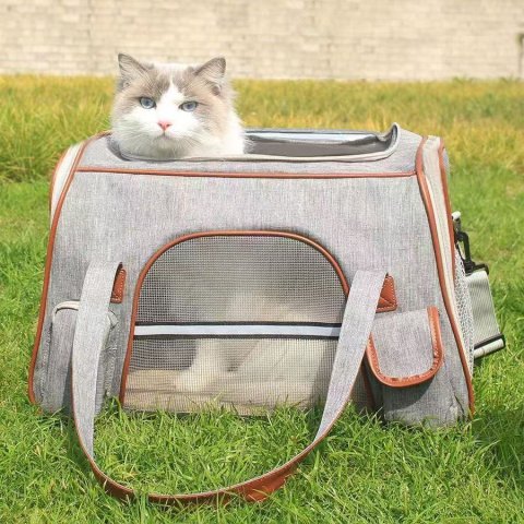 Spring portable large capacity foldable breathable backpack essential carry-on pet bag cat bag