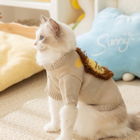 Autumn and winter cat clothes Cute cartoon lion sweater Warm knit two-legged clothes winter clothes