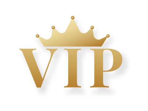 wholesale VIP customers customize exclusive secure payment links